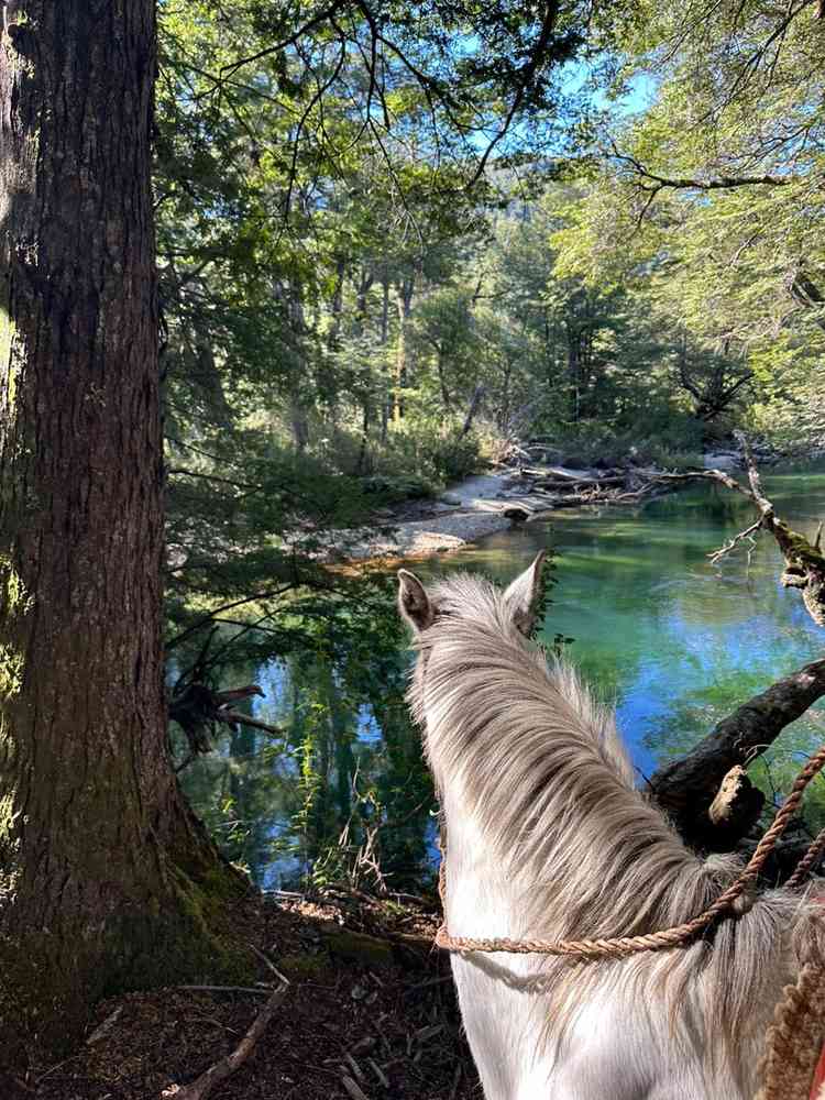 "Una gran aventura al estilo patagónico, cabalgando por montanas y valles."